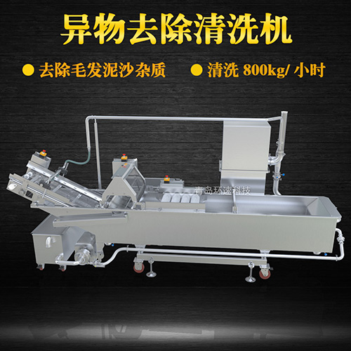 商用專業(yè)果蔬清洗機，氣泡清洗，清洗800kg小時
