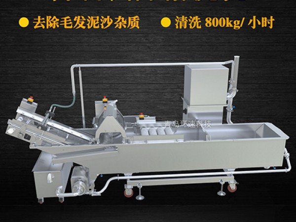 蔬菜清洗機(jī)，氣泡清洗，清洗800kg/小時(shí)