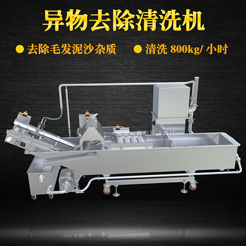 蔬菜清洗機(jī)，氣泡清洗，清洗800kg小時(shí)